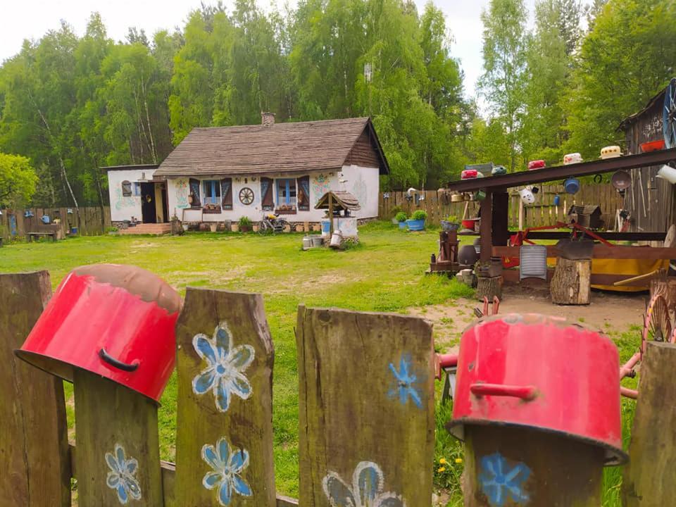 Zagroda Zalipie Гостынин Экстерьер фото