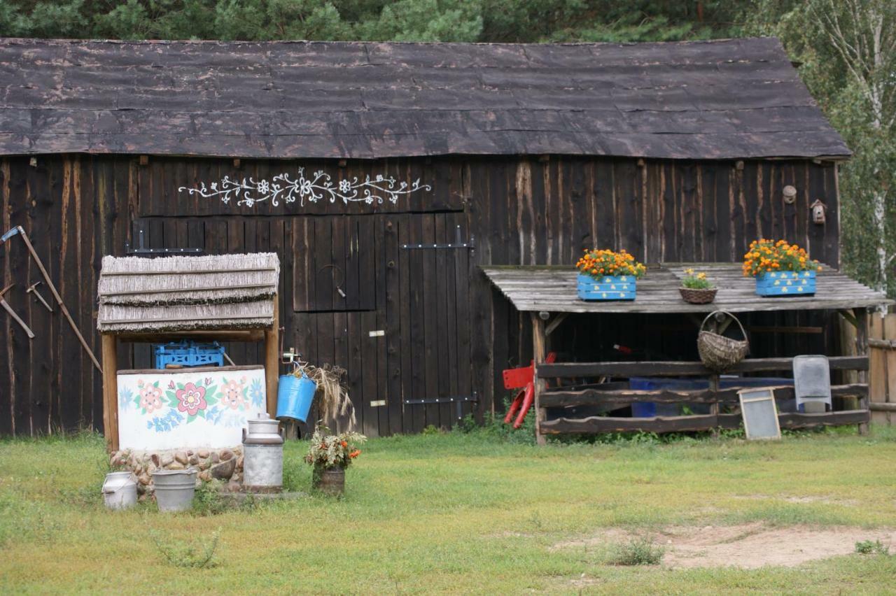 Zagroda Zalipie Гостынин Экстерьер фото