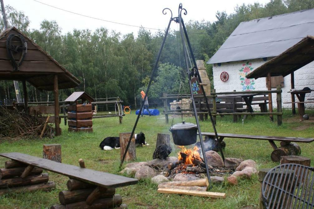 Zagroda Zalipie Гостынин Экстерьер фото