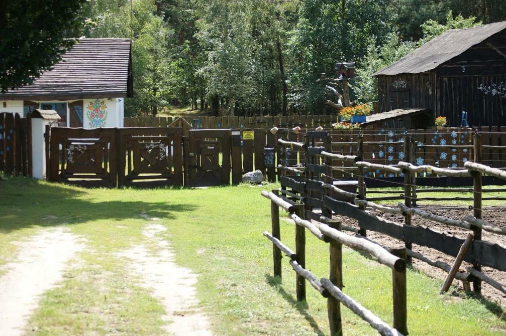 Zagroda Zalipie Гостынин Экстерьер фото
