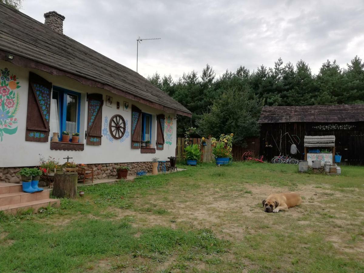 Zagroda Zalipie Гостынин Экстерьер фото