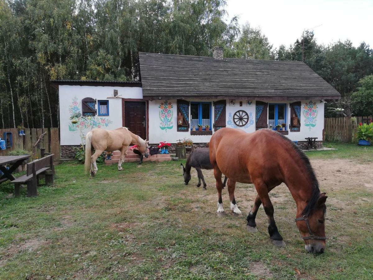 Zagroda Zalipie Гостынин Экстерьер фото