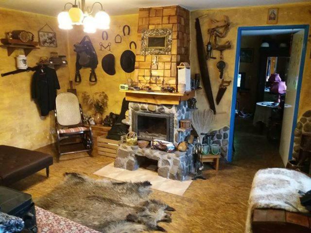 Zagroda Zalipie Гостынин Экстерьер фото