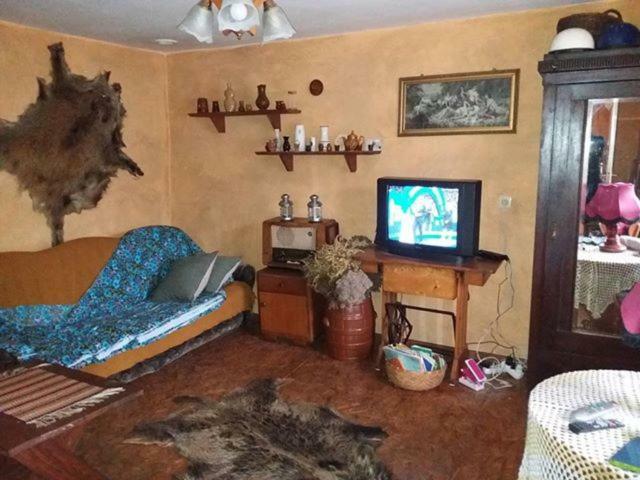 Zagroda Zalipie Гостынин Экстерьер фото