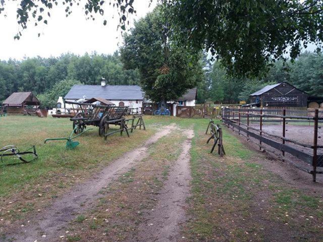 Zagroda Zalipie Гостынин Экстерьер фото